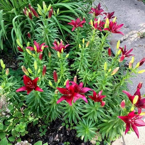 852 Innes Street NE 2, Grand Rapids, MI 49503