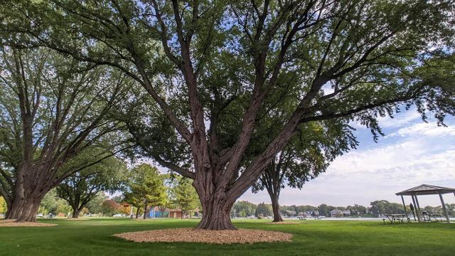 S63W13464 Windsor ROAD, Muskego, WI 53150