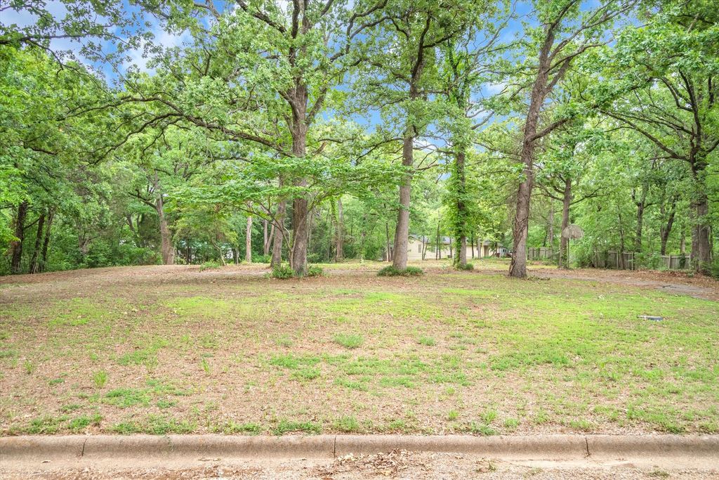1106 Woodland Drive, Canton, TX 75103