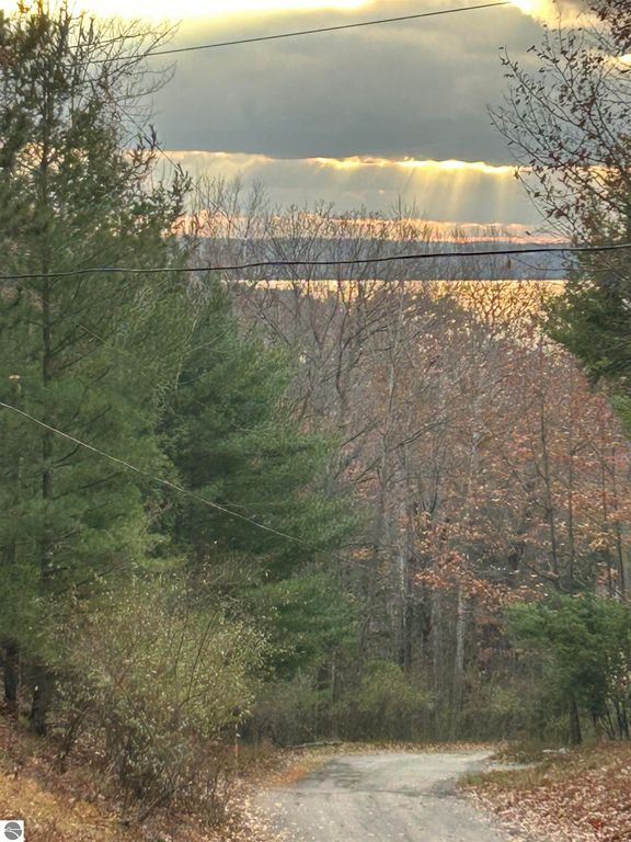 00 Mountain Road, Rapid City, MI 49676