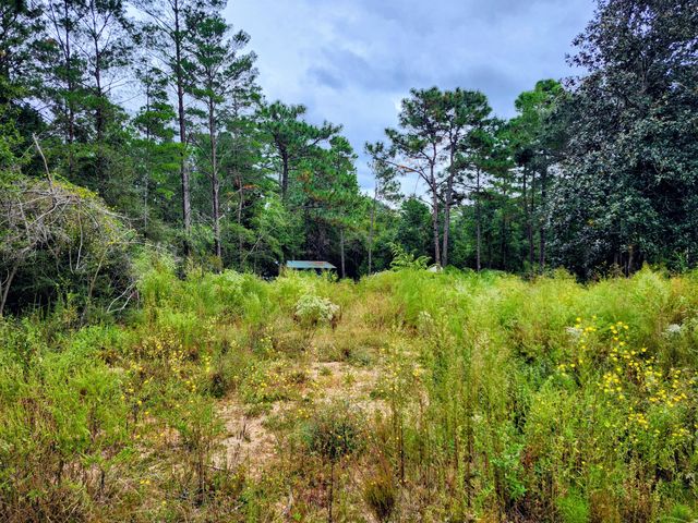 Lot 21 Cottage Hill Drive, Defuniak Springs, FL 32433