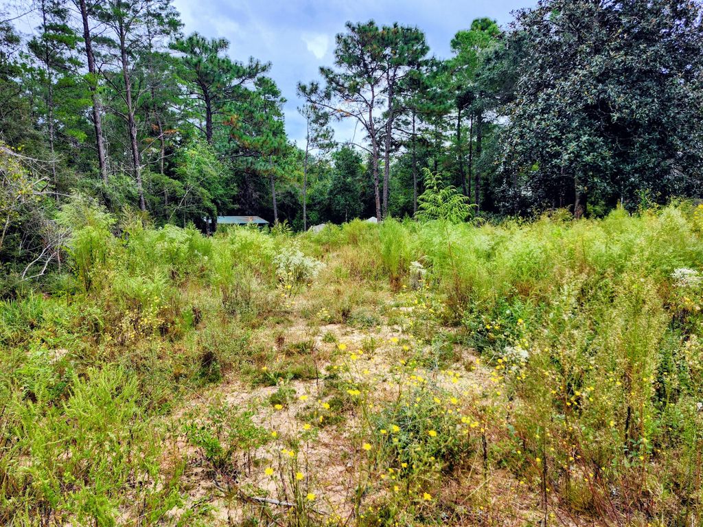 Lot 21 Cottage Hill Drive, Defuniak Springs, FL 32433