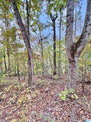 0 KEWANEE LANE, Lincoln, AL 35096