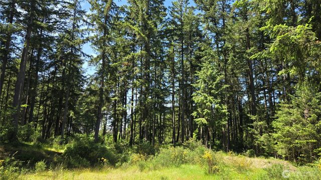 2525 Willa Street NE, Olympia, WA 98516
