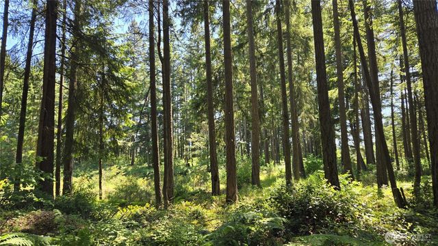 2525 Willa Street NE, Olympia, WA 98516
