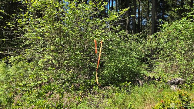 2525 Willa Street NE, Olympia, WA 98516