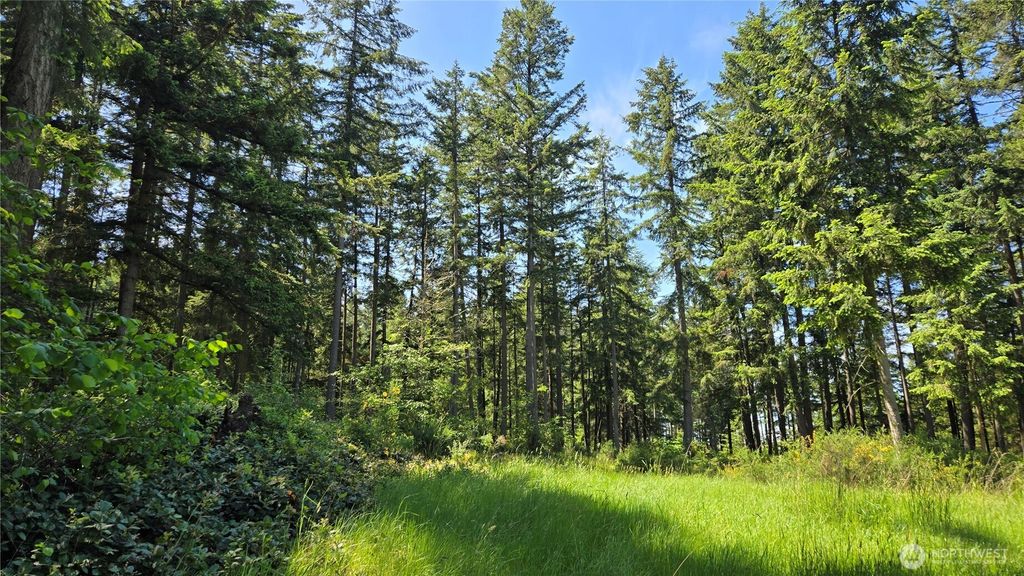 2525 Willa Street NE, Olympia, WA 98516