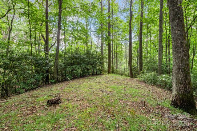 79 Creekside Lane, Spruce Pine, NC 28777