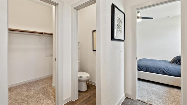3117 Armidale DR, Pflugerville, TX 78660