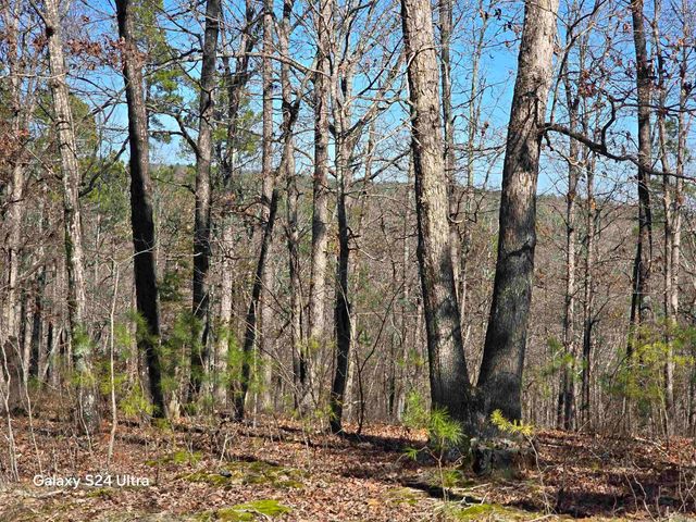 0 Woodlawn, Fairfield Bay, AR 72088