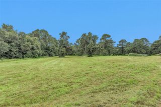 Lot 3 Paradise Point, Willis, TX 77318