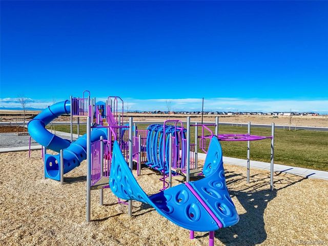 46569 Sunflower Ln, Bennett, CO 80102