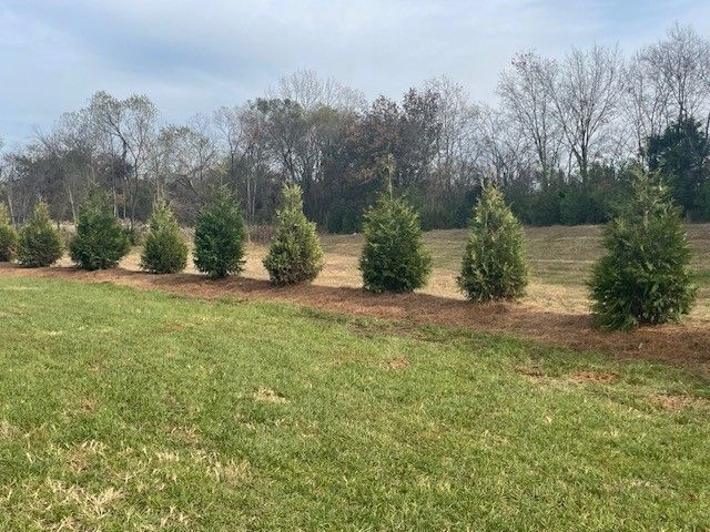 2834 Chaudoin Ct, Murfreesboro, TN 37129