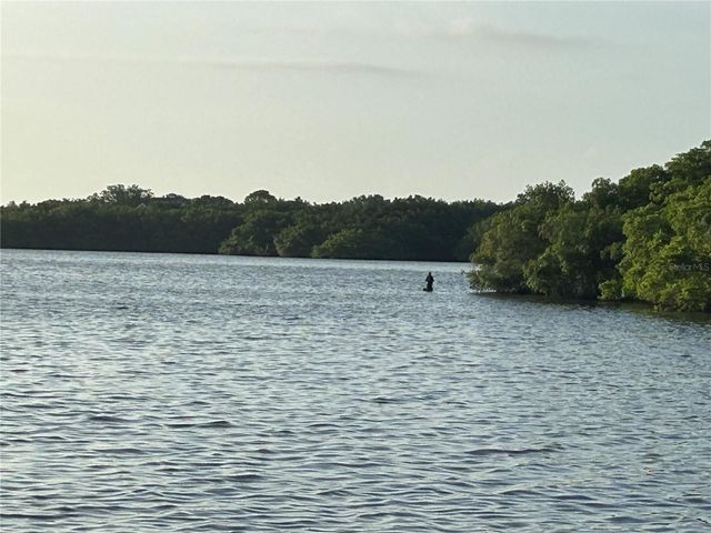2980 HAINES BAYSHORE ROAD 134, Clearwater, FL 33760