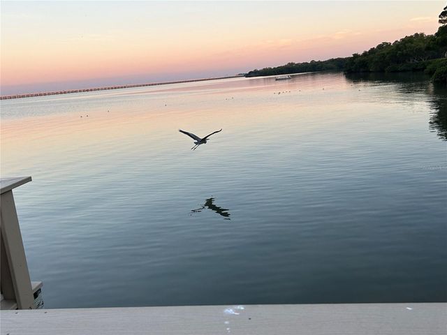 2980 HAINES BAYSHORE ROAD 134, Clearwater, FL 33760