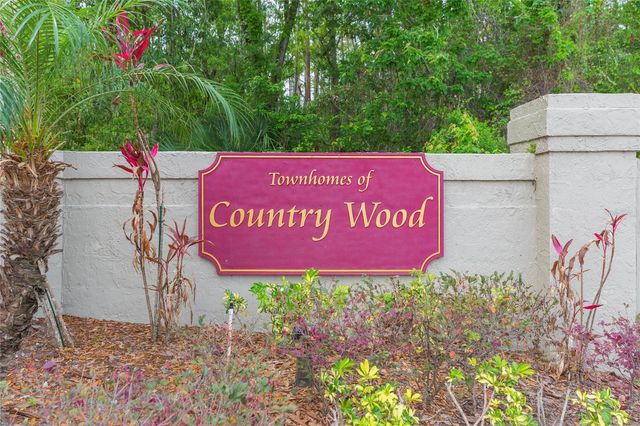 12738 WOOD TRAIL BOULEVARD, Tampa, FL 33625