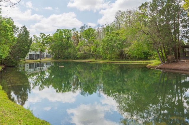 12738 WOOD TRAIL BOULEVARD, Tampa, FL 33625