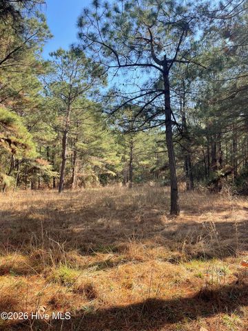 116 Garbacon Drive, Beaufort, NC 28516