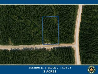 15979 Forest Grove Drive, Willis, TX 77378