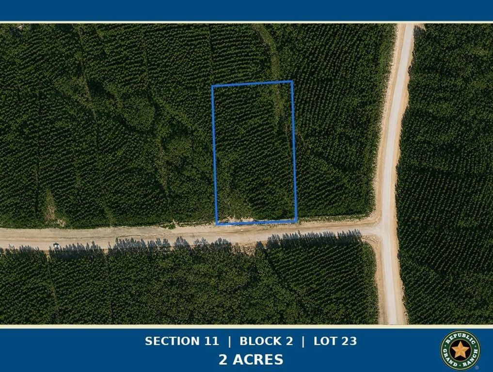 15979 Forest Grove Drive, Willis, TX 77378