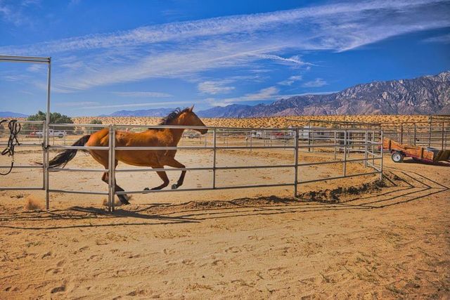 20555 Mountain View Road, Desert Hot Springs, CA 92241