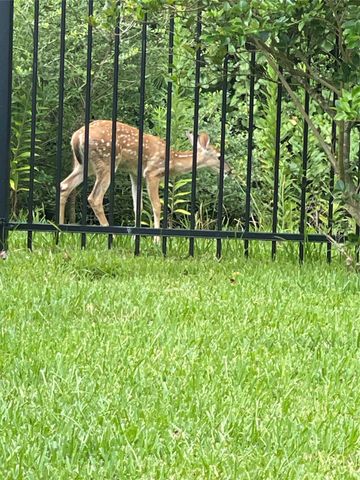 514 Pearl View Lane, Pinehurst, TX 77362