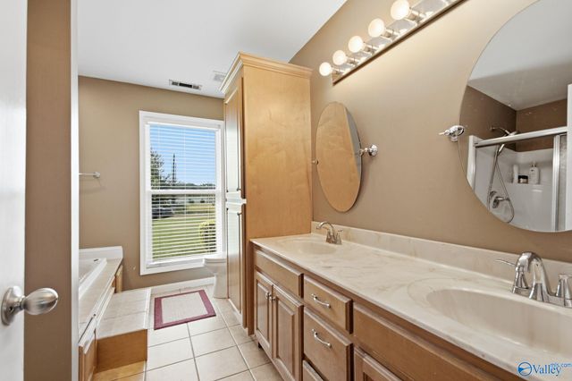 213 Smokey Hills Court, New Market, AL 35761