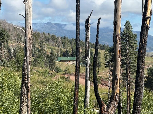 Lot 775 Forbes Park Road, Fort Garland, CO 81133