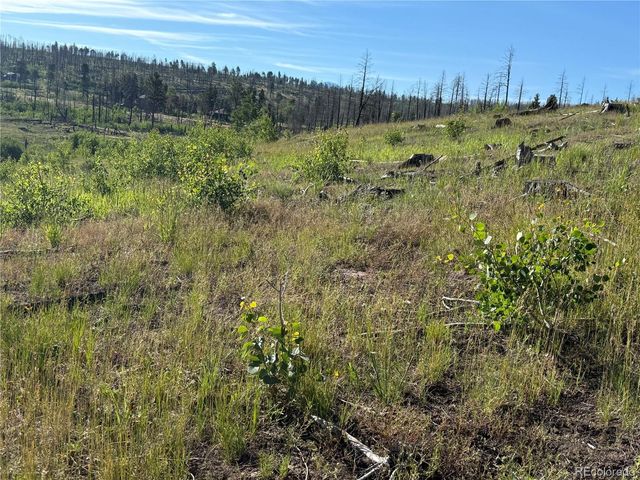 Lot 775 Forbes Park Road, Fort Garland, CO 81133
