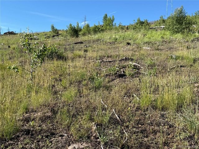 Lot 775 Forbes Park Road, Fort Garland, CO 81133