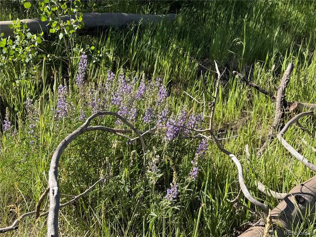 Lot 775 Forbes Park Road, Fort Garland, CO 81133