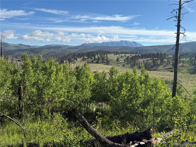 Lot 775 Forbes Park Road, Fort Garland, CO 81133
