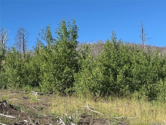 Lot 775 Forbes Park Road, Fort Garland, CO 81133