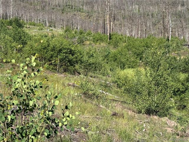 Lot 775 Forbes Park Road, Fort Garland, CO 81133