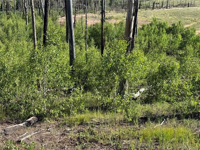 Lot 775 Forbes Park Road, Fort Garland, CO 81133