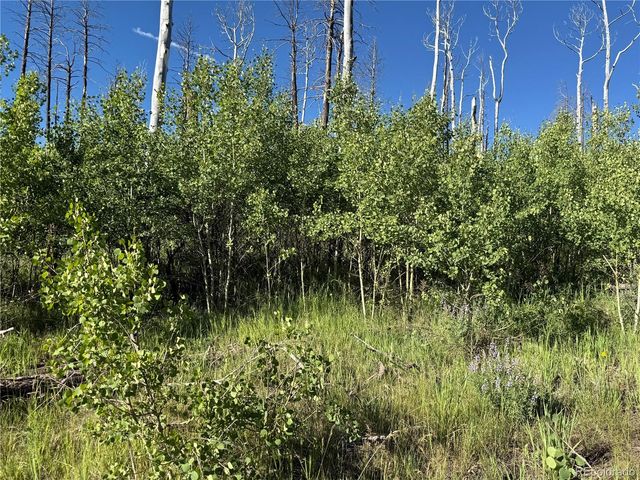 Lot 775 Forbes Park Road, Fort Garland, CO 81133
