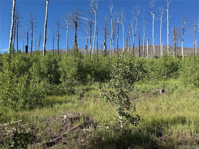 Lot 775 Forbes Park Road, Fort Garland, CO 81133