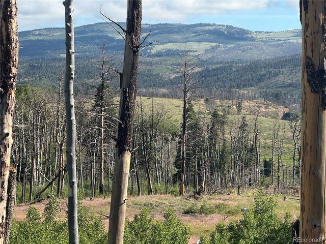 Lot 775 Forbes Park Road, Fort Garland, CO 81133