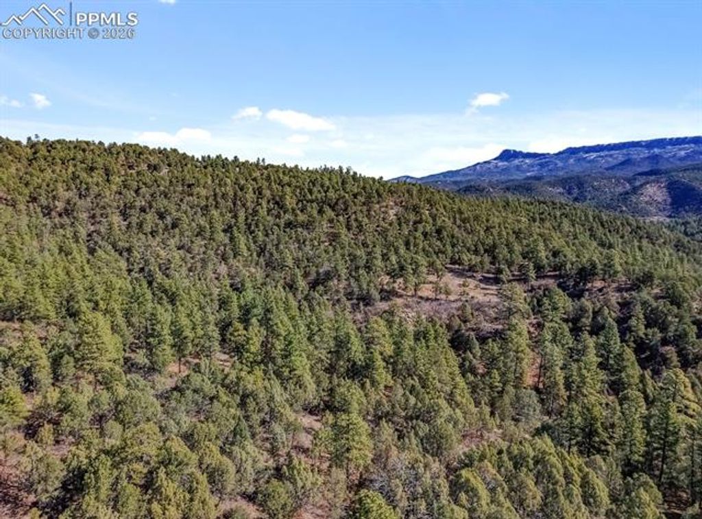 230 Old Mission Road, Trinidad, CO 81082 — photo 4