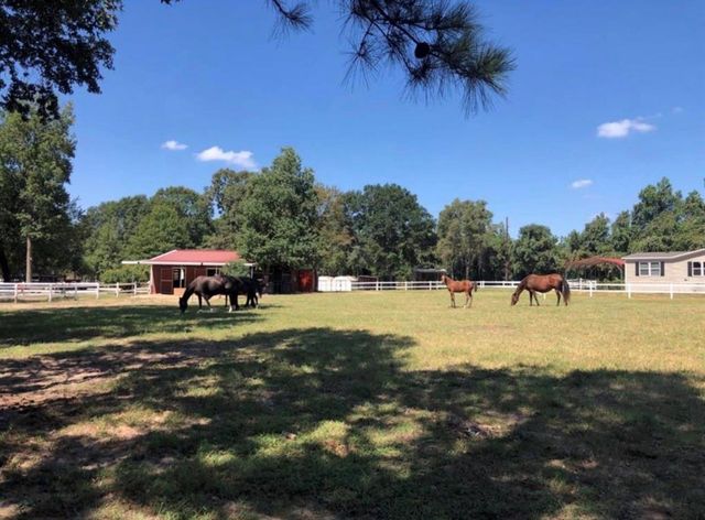 26768 B Dobbin Huffsmith Road, Magnolia, TX 77354