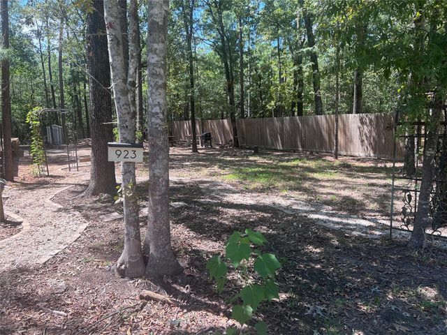 923 Brackenridge, Livingston, TX 77351