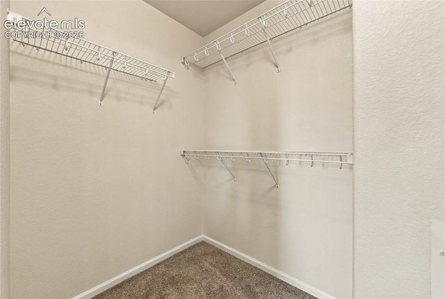 2471 Obsidian Forest View, Colorado Springs, CO 80951