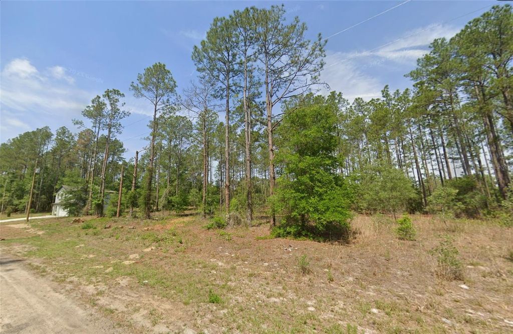 10846 N LETTERWOOD WAY, Dunnellon, FL 34434