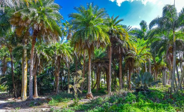 14344 N Road, Loxahatchee Groves, FL 33470