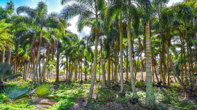 14344 N Road, Loxahatchee Groves, FL 33470