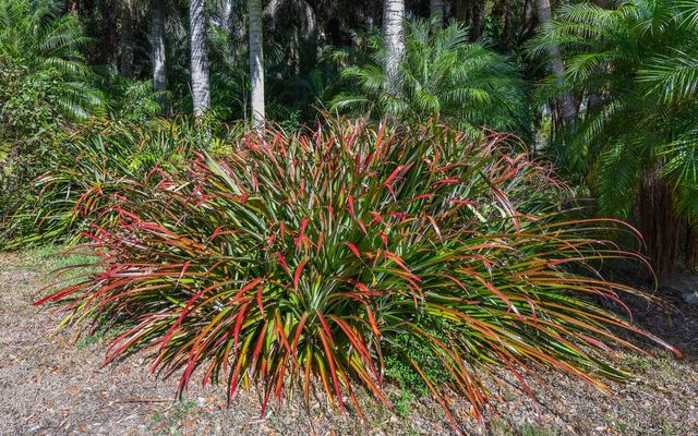 14344 N Road, Loxahatchee Groves, FL 33470