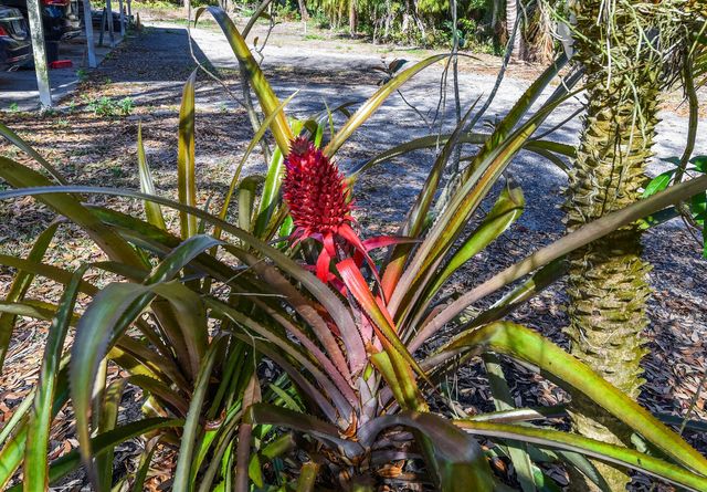 14344 N Road, Loxahatchee Groves, FL 33470