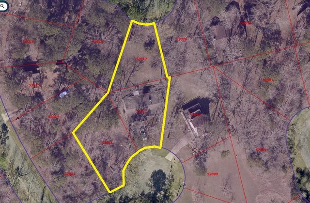 31 Oak Cove Lane, Coldspring, TX 77331