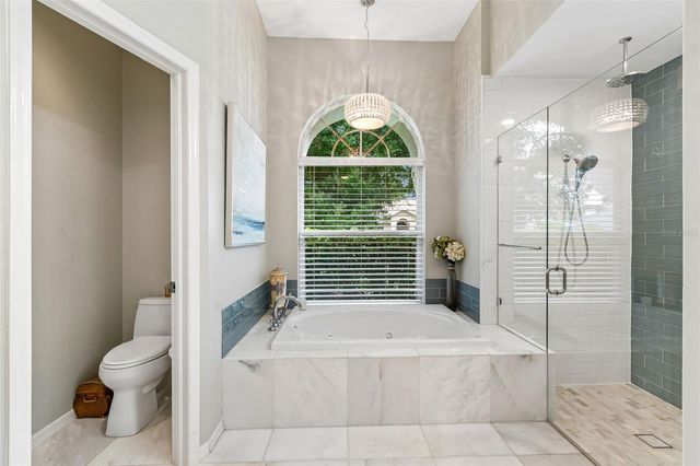 17705 GREY EAGLE ROAD, Tampa, FL 33647