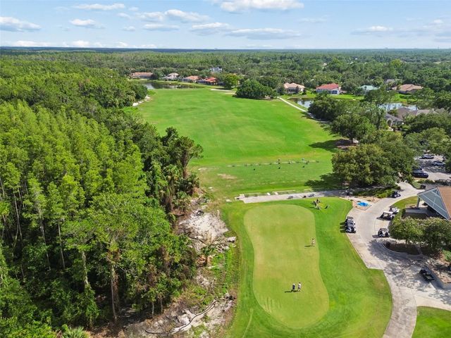17705 GREY EAGLE ROAD, Tampa, FL 33647